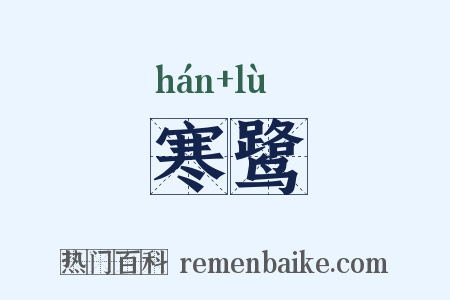 寒鹭是什么意思的图片